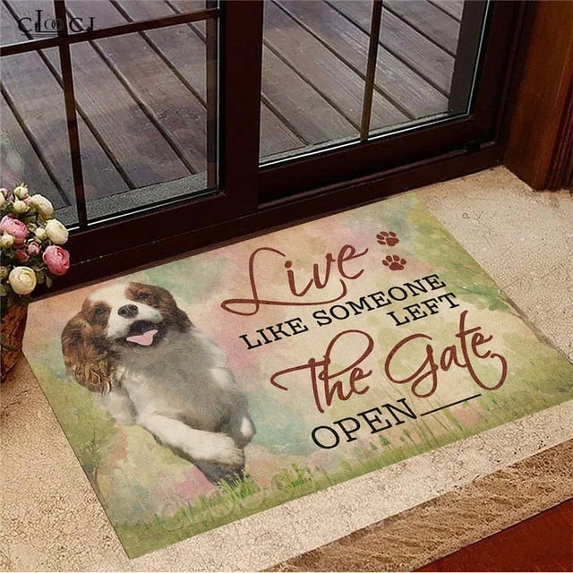 Doormat 9