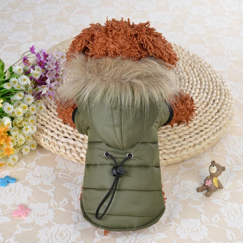 - Pet tear stain cleaning wipesFur Trim Dog Coat with Hoodie