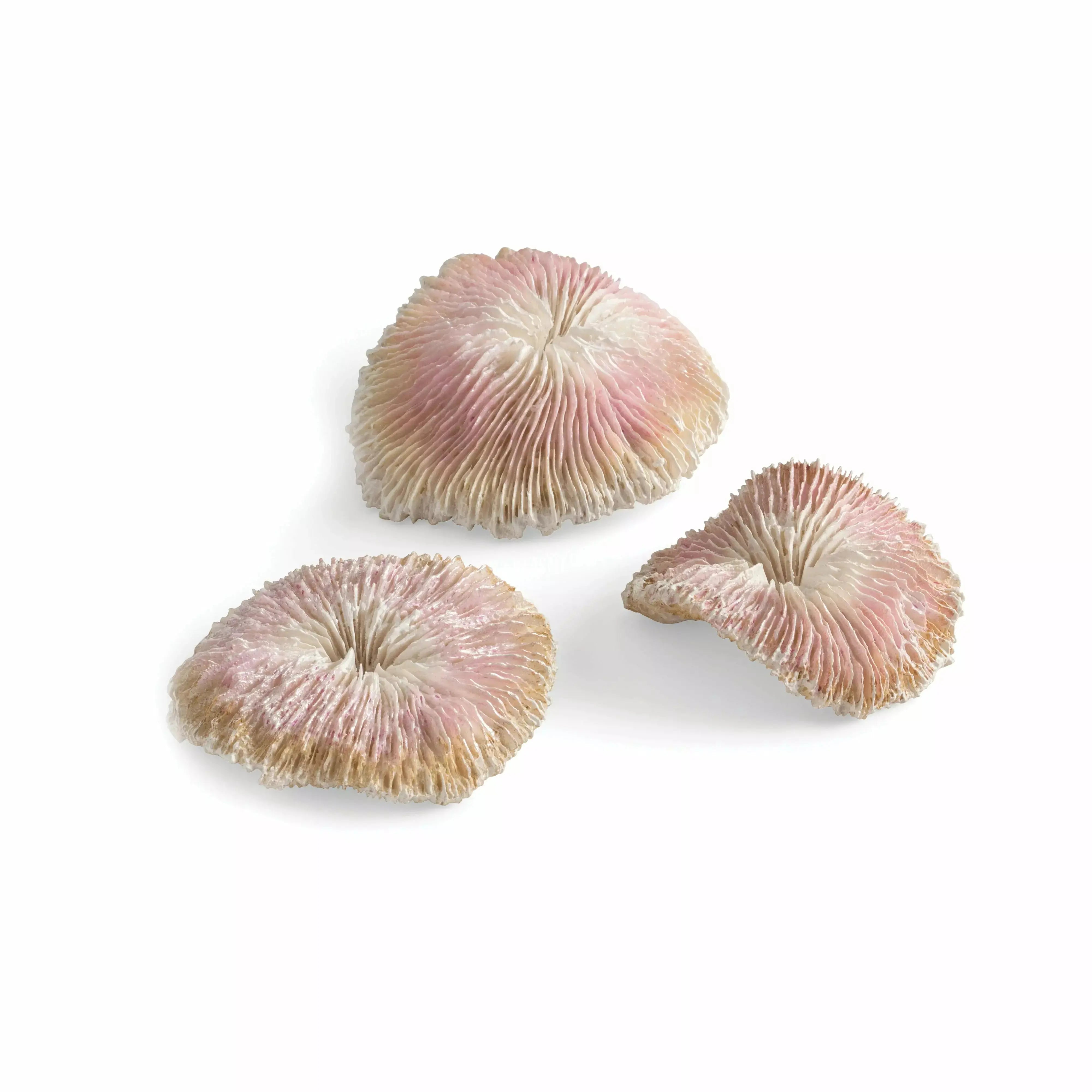 -Anti-scratch sofa protective coverbiOrb Seychelles Plate Coral Aquarium Decor Set of 3 -Anti-scratch sofa protective coverbiOrb Seychelles Plate Coral Aquarium Decor Set of 3