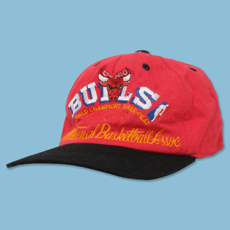 - Car dog seat beltVintage 1993 Chicago Bulls Snapback