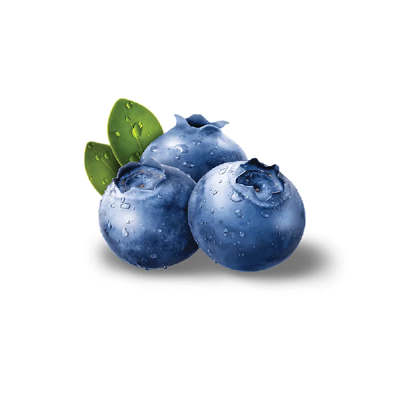 - Organic cotton dog bibsBLUE BERRY (125GM Box)
