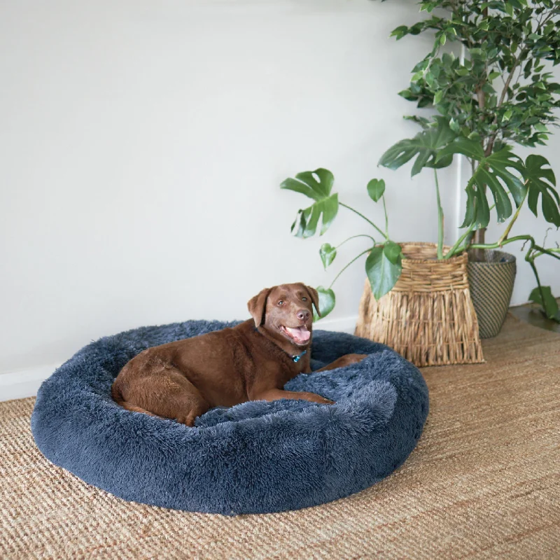 - Teething and chewing toys for puppiesPeacock Dog Bed - Storm Grey