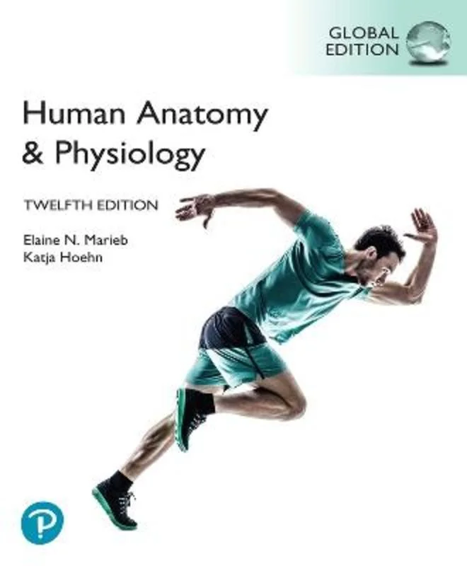 - Car dog seat beltHuman Anatomy & Physiology, Global Edition, (HB)