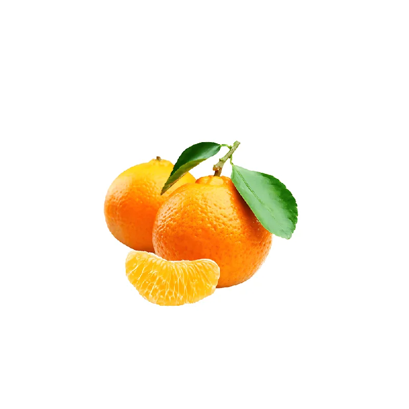 - Remote interactive pet feederSHIKRI ORANGE (Dozen)
