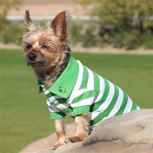 Focus on health and safety:Striped Dog Polos - Greenery and White