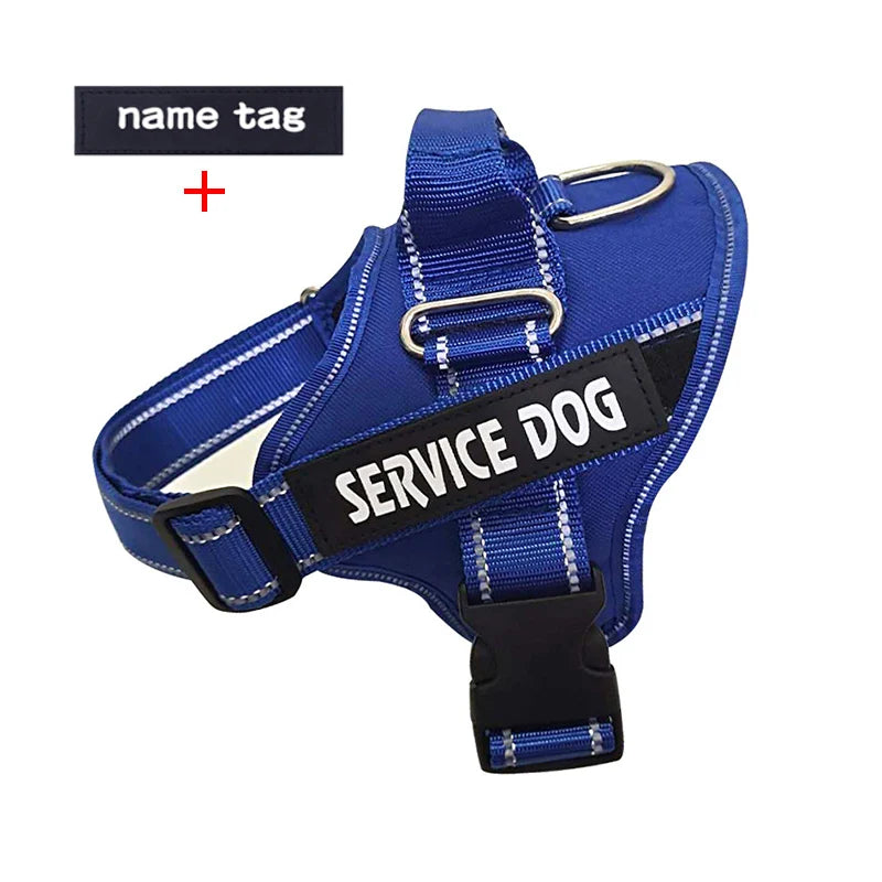 Blue with tag