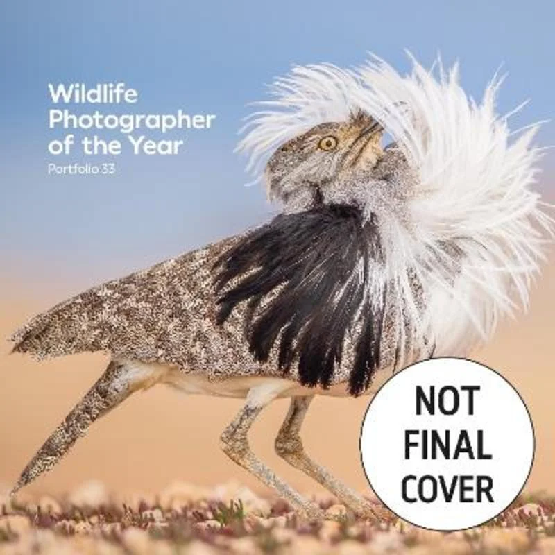 - Natural latex pet mattressWildlife Photographer of the Year: Portfolio 33