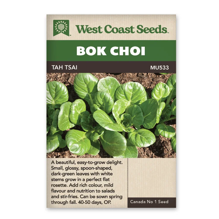 - Dog anti-slip matWest Coast Seeds Tah Tsai Bok Choi Seeds - 440 Seeds