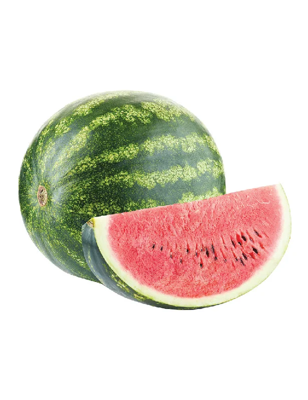 - Pregnant cat delivery room warming boxRED Fantasy Melon, each (about 1,7kg)