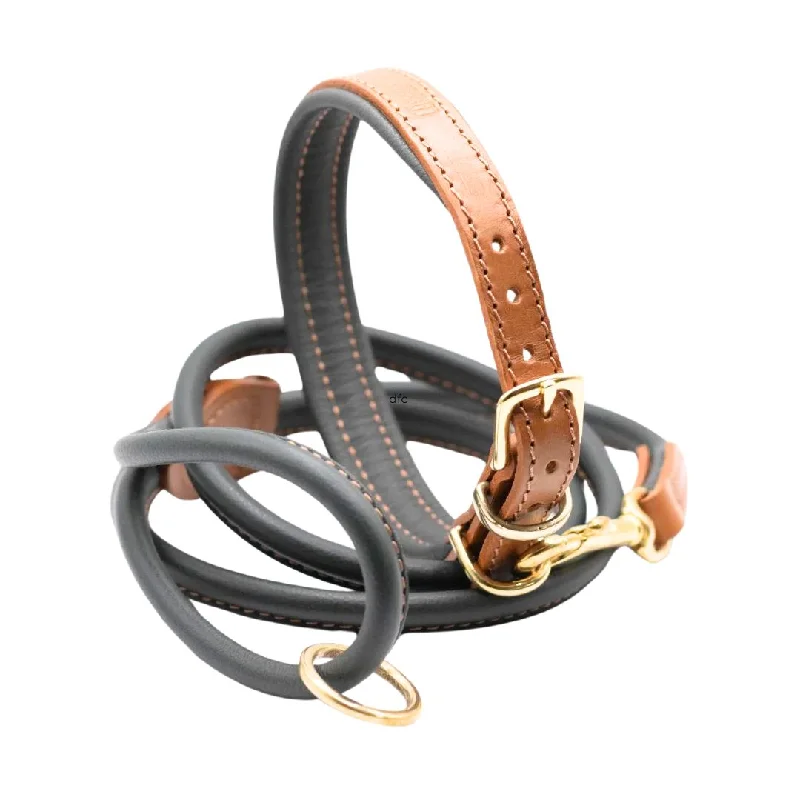 ---Tan & Racing Green Luxury Padded Leather Dog Collar and Rolled Lead Set by Dogs & Horses ---Tan & Racing Green Luxury Padded Leather Dog Collar and Rolled Lead Set by Dogs & Horses