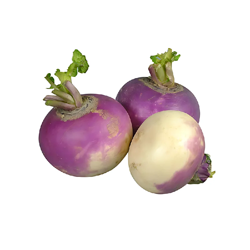 - Pet water dispenser UV sterilization versionTURNIP (1 KG TO 250 GM)