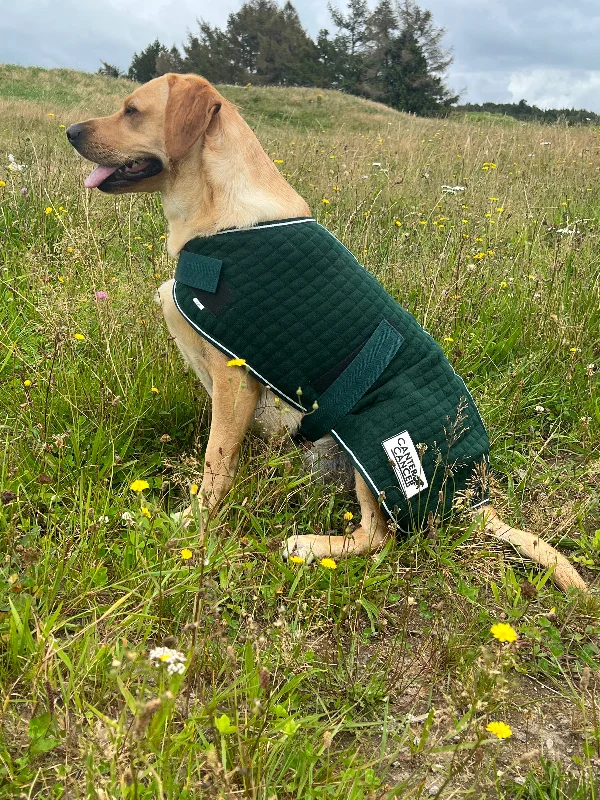 - Summer pet ice matWickAway Dog Coats – Hunter Green