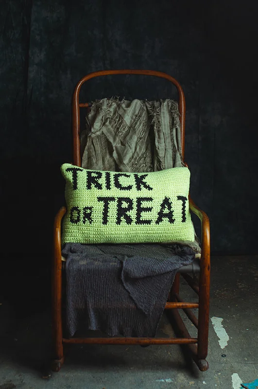 - Custom pet birthday cakeTrick or Treat Pillow (Crochet)