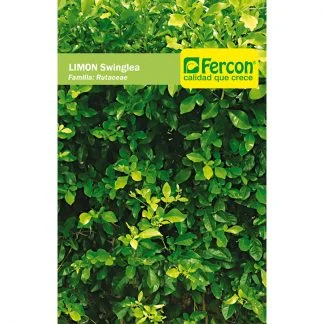 - Pet smart GPS locatorSemilla Limon Swinglia Ornamental x 454 Gr