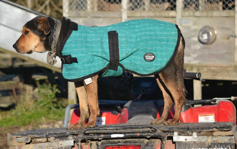- Automatic temperature adjustment cat bedGreen Canvas Dog Coats