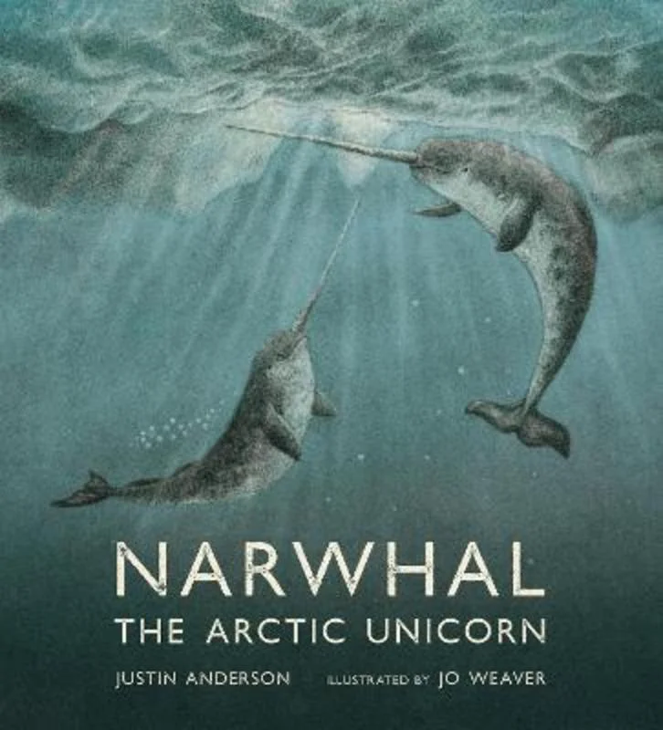 - Cat anti-jump window safety netNarwhal: The Arctic Unicorn