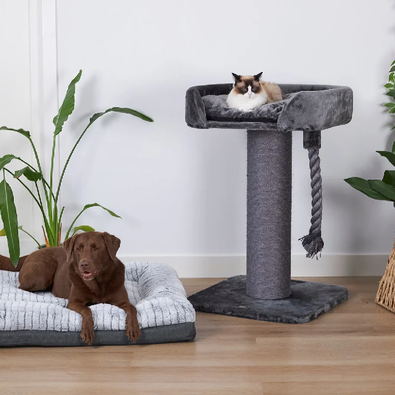 - Winter warm clothes for short-haired dogsHigh Bed Cat Scratch Post - Charcoal Plush