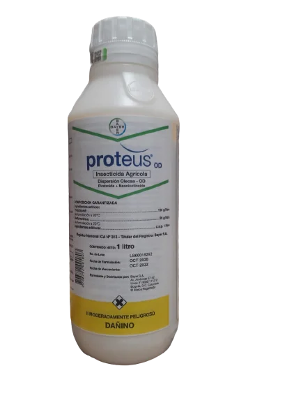 - Pregnant cat delivery room warming boxProteus Od x Litro