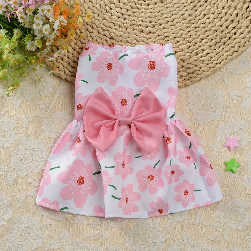 Pink flowers