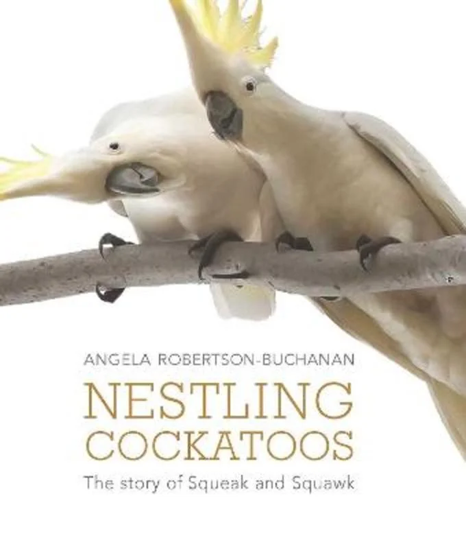 - Pregnant cat delivery room warming boxNestling Cockatoos