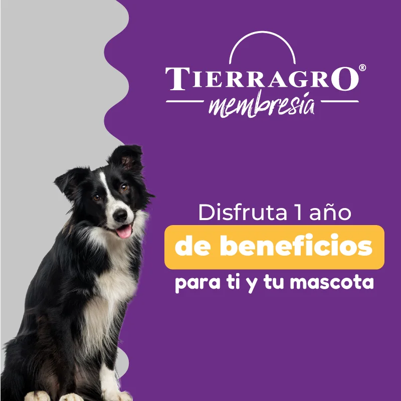- Pet diabetes prescription foodTierragro Club Membresía Tierragro