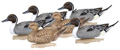 -Anti-scratch scratching board AND cat bed in oneFlambeau Storm Front 2 Pintail Duck Decoys 6PK -Anti-scratch scratching board AND cat bed in oneFlambeau Storm Front 2 Pintail Duck Decoys 6PK