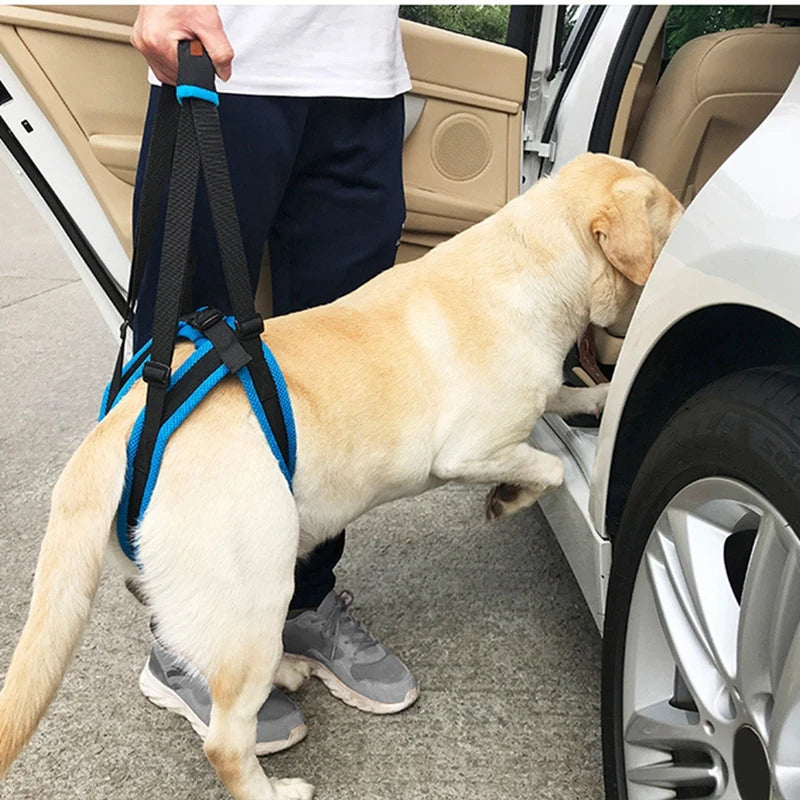 - Pet monitor with cameraAdjustable Dog Lift Harness For Back Legs Pet Support Sling Help Weak Legs Stand Up Pet Dogs Aid Assist Tool For Old Dogs - Pet monitor with cameraAdjustable Dog Lift Harness For Back Legs Pet Support Sling Help Weak Legs Stand Up Pet Dogs Aid Assist Tool For Old Dogs